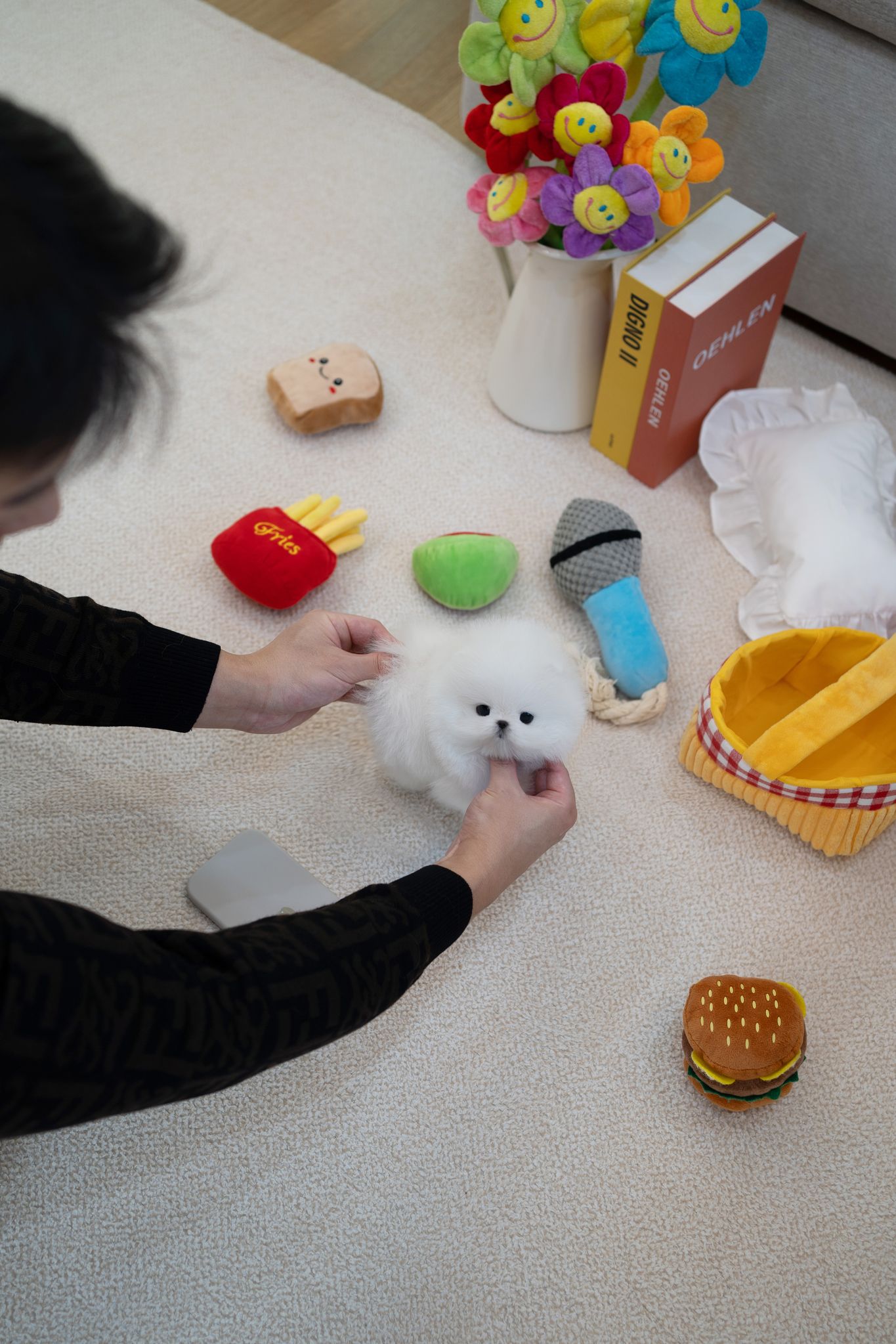 Pomeranian