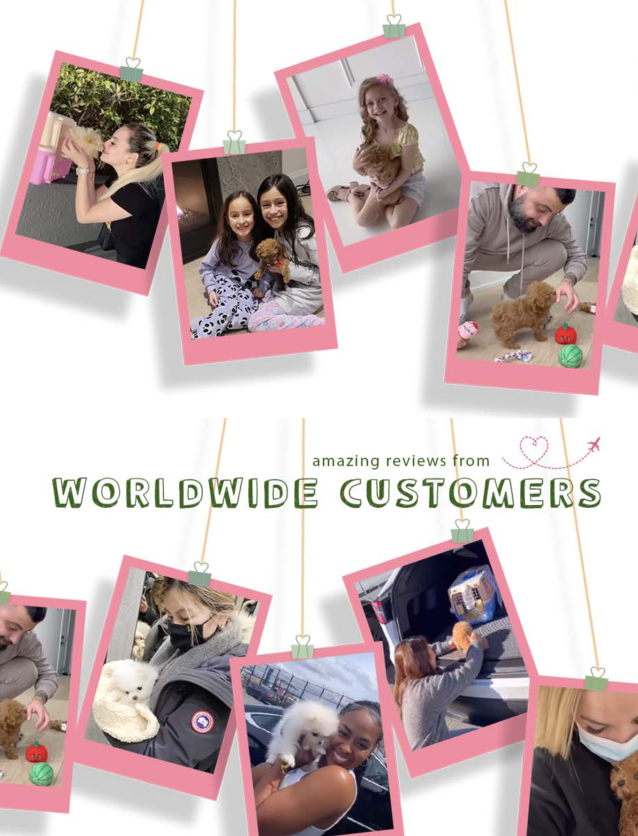 335b3beed5ded82d1f0f7ecd1035bf9d_vertical