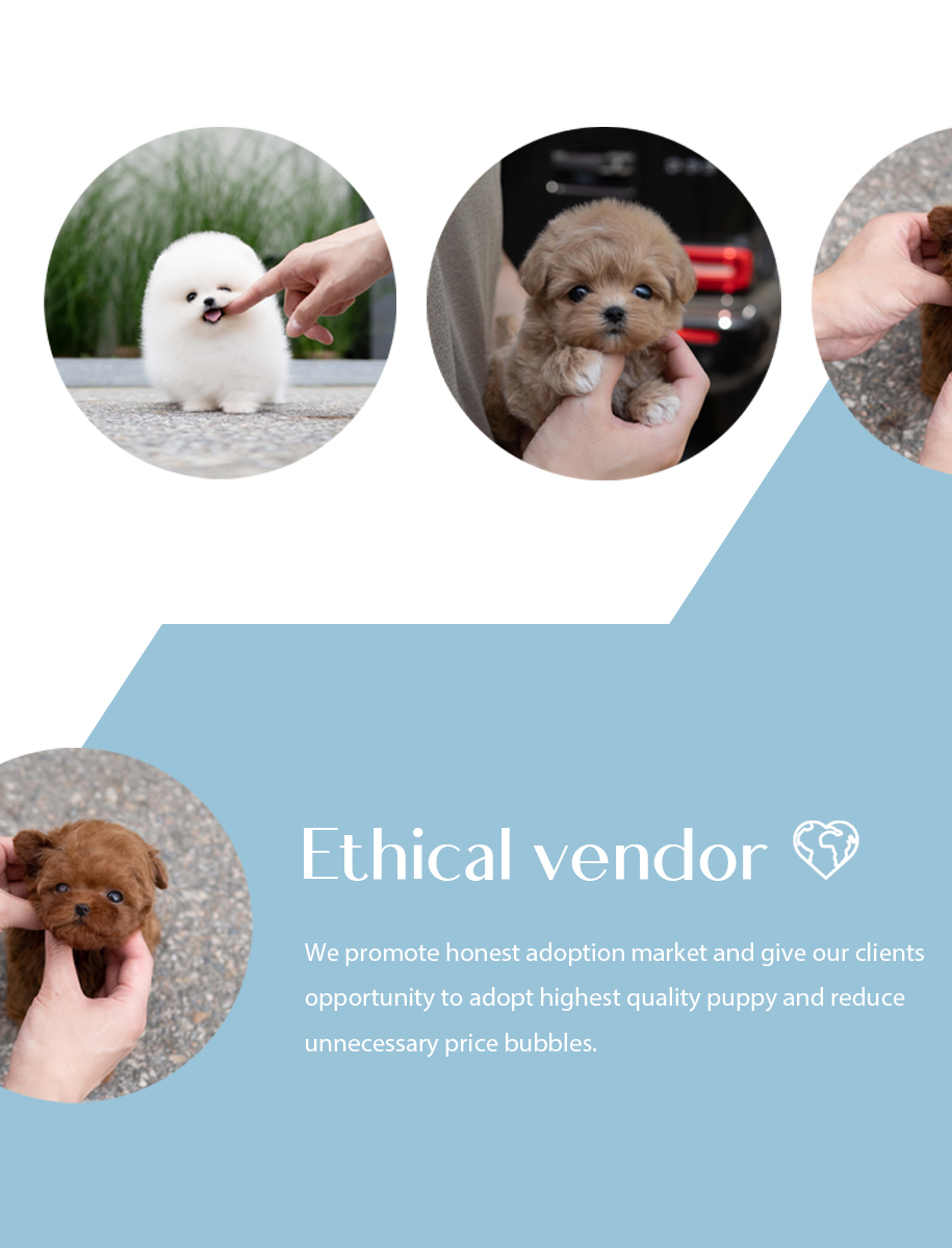 683090c21c1a01a06ffbdec789b50294_vertical