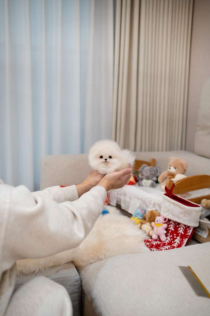 WhatsApp Image 2026-01-10 at 11.16.15 (3)